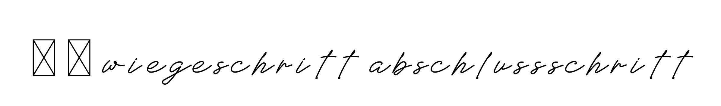 1 2 Wiegeschritt Abschlussschritt Signature Style Valkrie