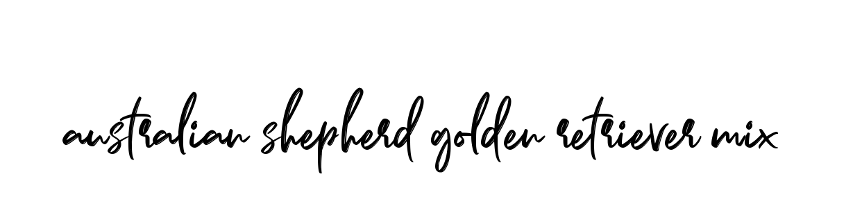 Handwritten Signature for Australian-shepherd-golden-retriever-mix - Style 141 Online