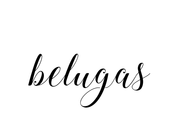 Belugas signature