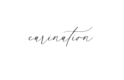 Handwritten Signature for Carination - Style 134 Online