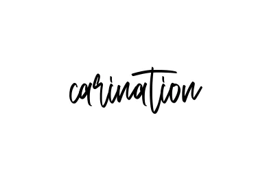 Handwritten Signature for Carination - Style 143 Online