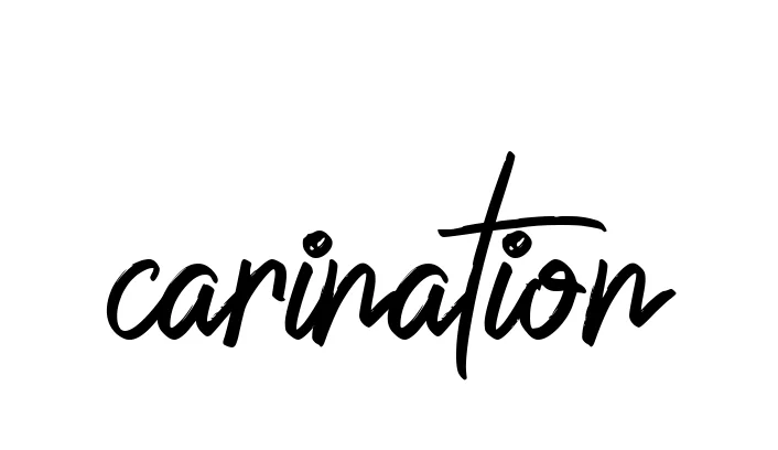 Handwritten Signature for Carination - Style 149 Online