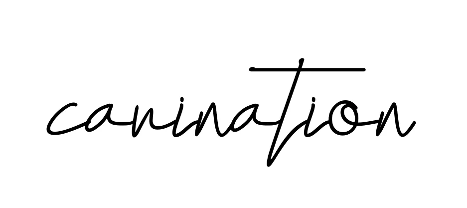 Handwritten Signature for Carination - Style 155 Online