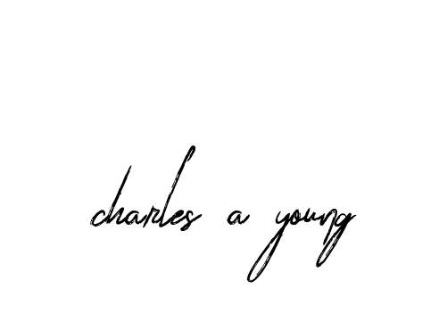 Handwritten Signature for Charles-a-young - Style 133 Online