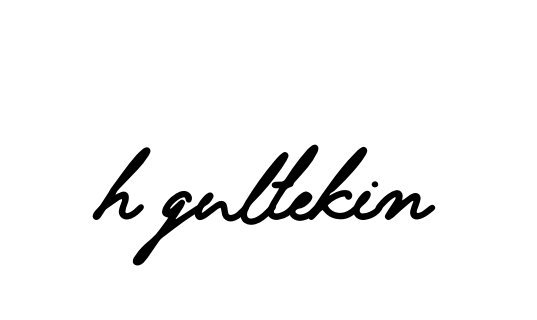Handwritten Signature for H-gultekin - Style 138 Online