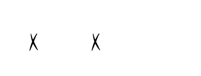 X-2-x-3-6 signature
