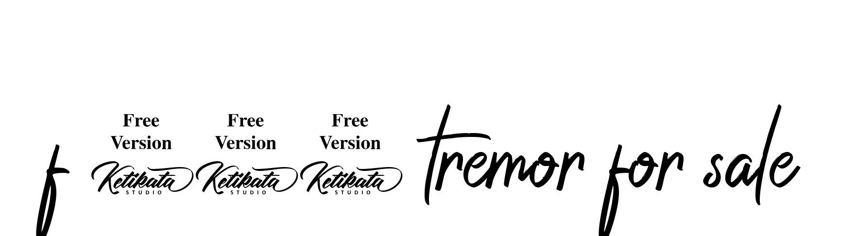 F-150-tremor-for-sale signature