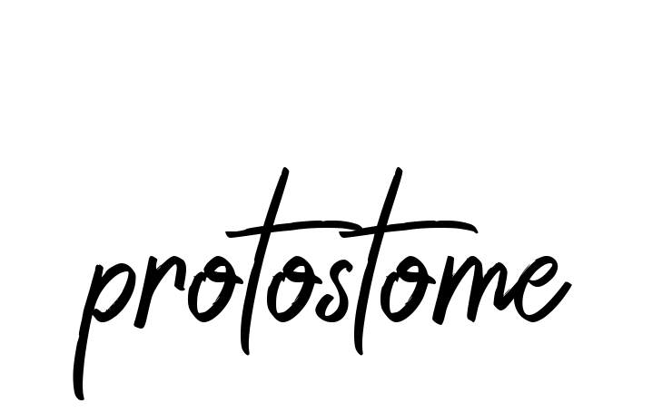 Protostome signature