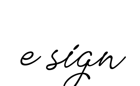 E-sign signature