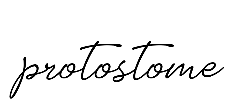 Protostome signature