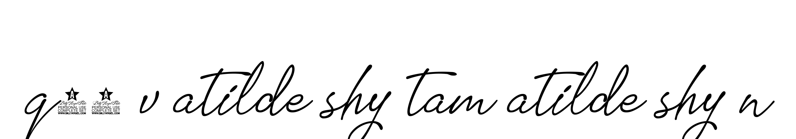 Q10-v-atilde-shy-tam-atilde-shy-n signature