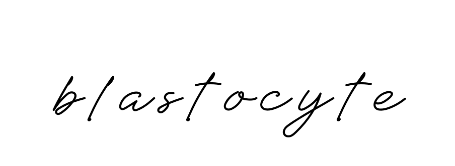 Blastocyte signature