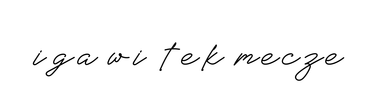 Iga-wi-tek-mecze signature