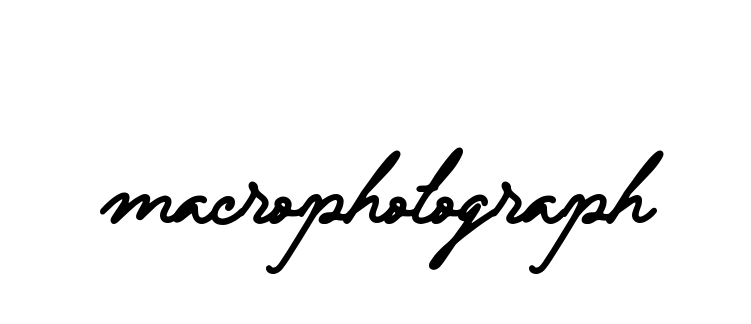 Handwritten Signature for Macrophotograph - Style 137 Online