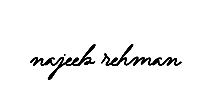 Handwritten Signature for Najeeb-rehman - Style 137 Online