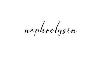 Handwritten Signature for Nephrolysin - Style 132 Online