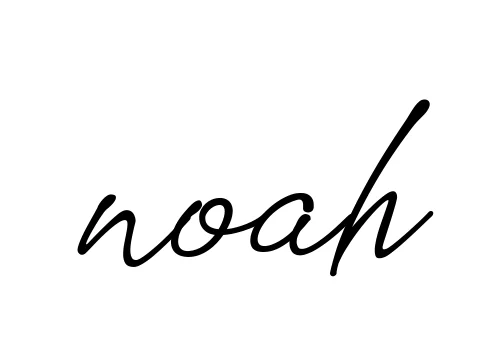 Handwritten Signature for Noah - Style 151 Online