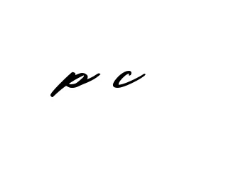 Handwritten Signature for P-c - Style 140 Online
