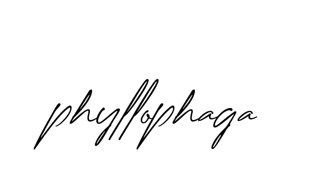 Phyllophaga signature