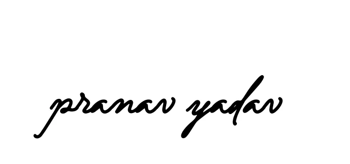 Handwritten Signature for Pranav-yadav - Style 138 Online