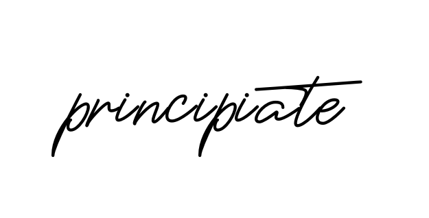Principiate Signature Style Theprestigesignature