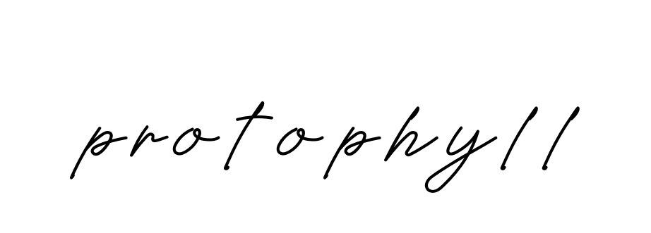 Protophyll Signature Style Valkrie