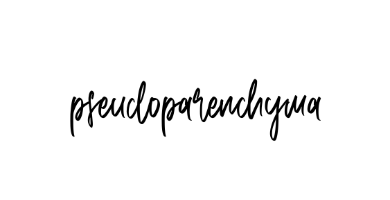 Handwritten Signature for Pseudoparenchyma - Style 143 Online
