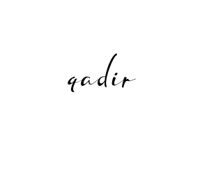 Handwritten Signature for Qadir- - Style 132 Online