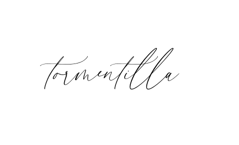 Handwritten Signature for Tormentilla - Style 134 Online