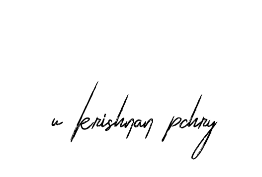 Handwritten Signature for U-krishnan-pchry - Style 133 Online