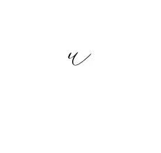 Handwritten Signature for U - Style 134 Online