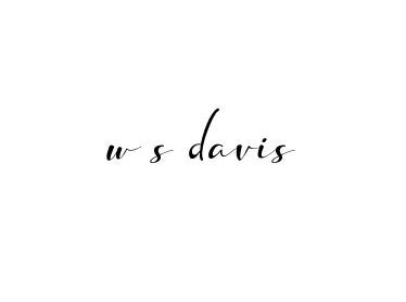 Handwritten Signature for W-s-davis - Style 132 Online