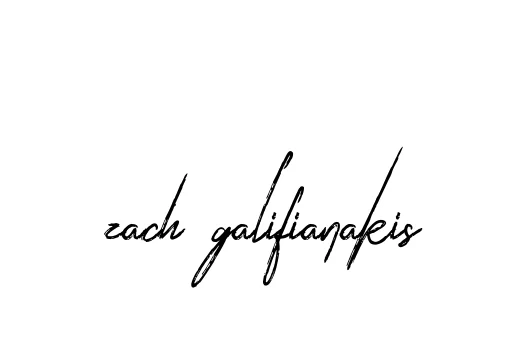 Handwritten Signature for Zach-galifianakis - Style 133 Online