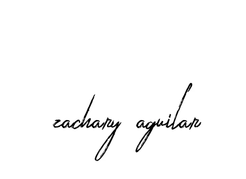 Handwritten Signature for Zachary-aguilar - Style 133 Online