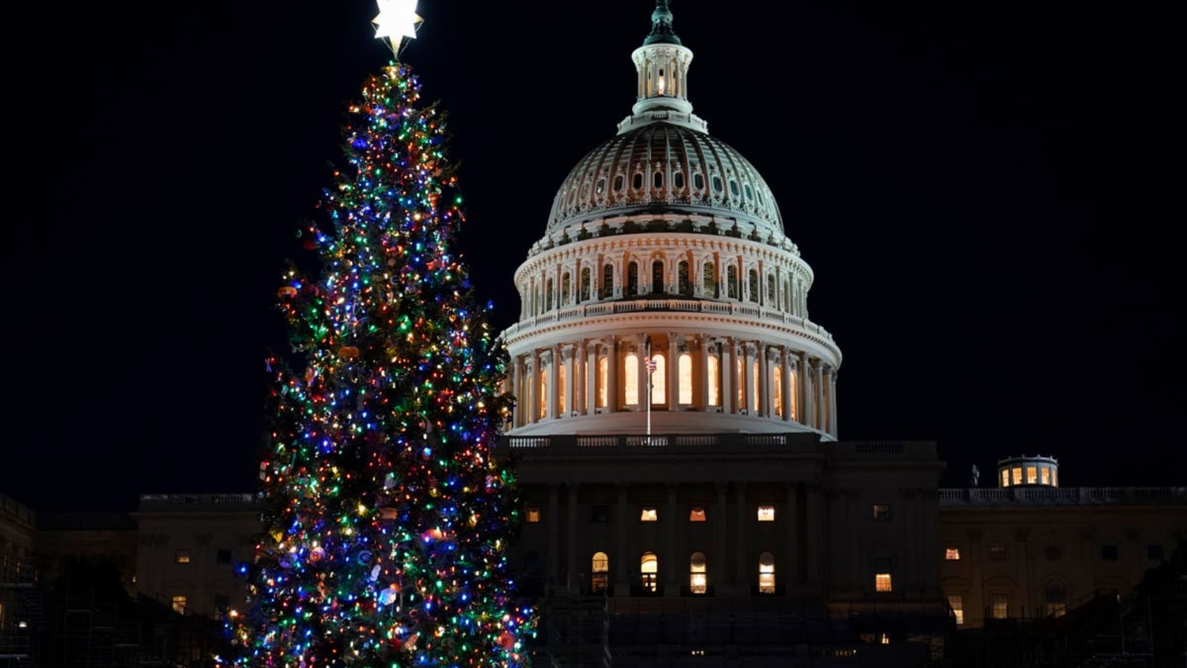 Capitol_Christmas_Tree_13692.jpg