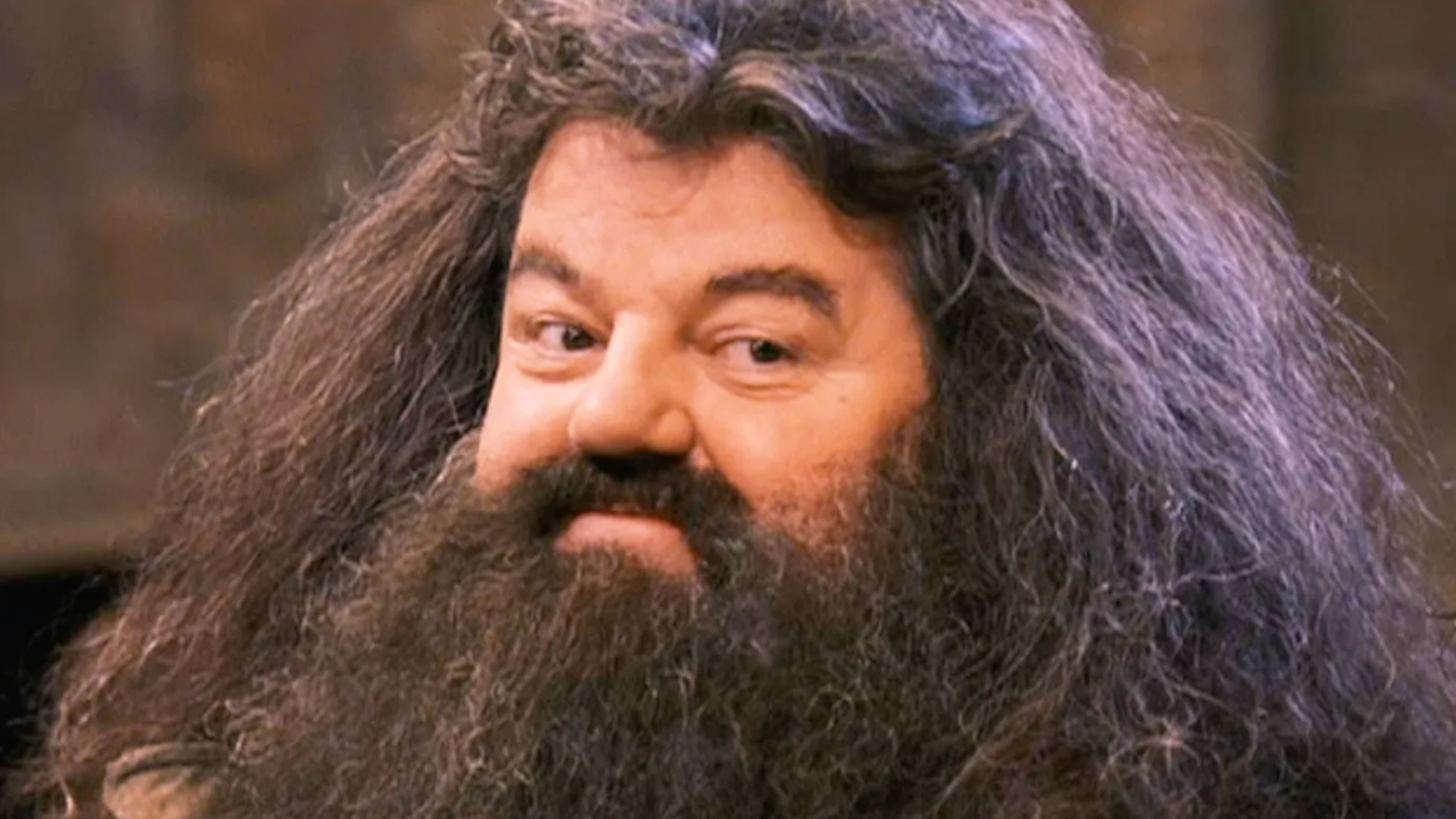 Harry-Potter-Hagrid-28229.jpg